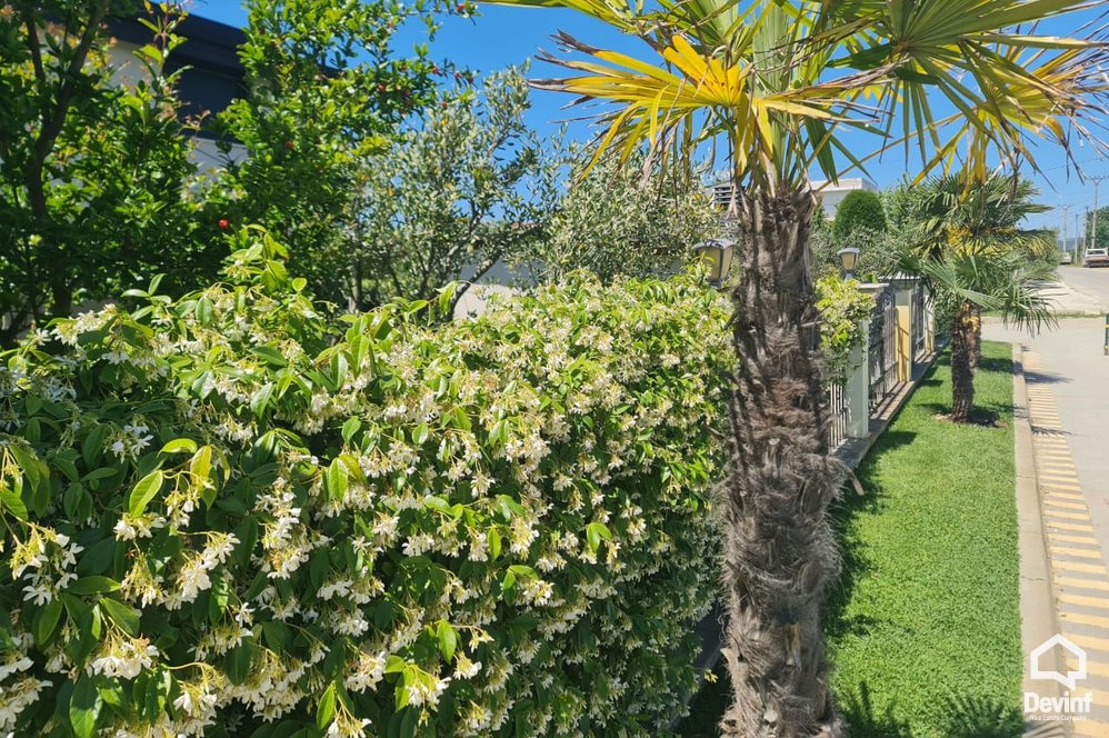 Durres For Sale Villa  Residential complex in Durres Apartment bregdet Residential Complex turistike Booking/AirBnB studio